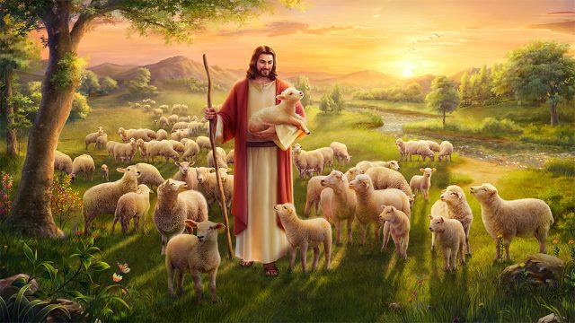 lost sheep, Lord Jesus